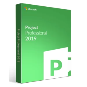 Project 2019 Professional Lifetime 1 pc