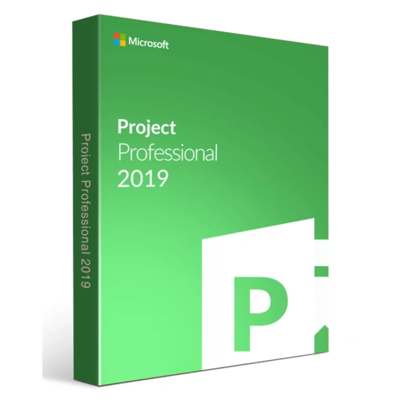 Project 2019 Professional Lifetime 1 pc