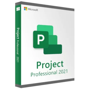 Project 2021 Professional Lifetime 1 PC