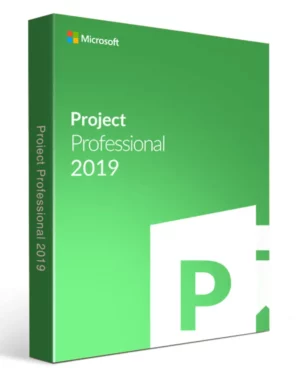 Project 2019 Professional Lifetime 1 pc