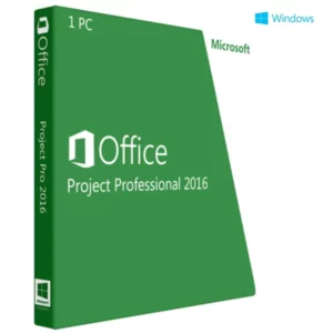 Project 2016 Professional Lifetime 1 PC