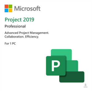 Project 2019 Pro License – 1PC