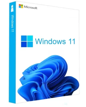 Windows 11 Home 1 Pc