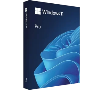 Windows 11 Pro 1 PC